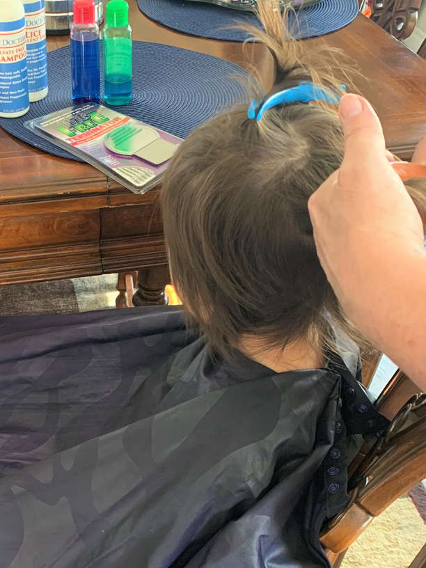 Marietta, Head lice treatment & Mobile (inhome) removal